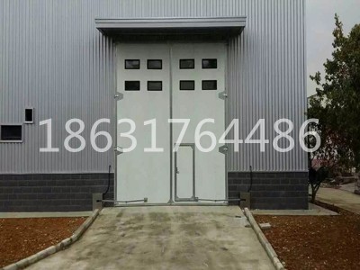 工业平开门展示